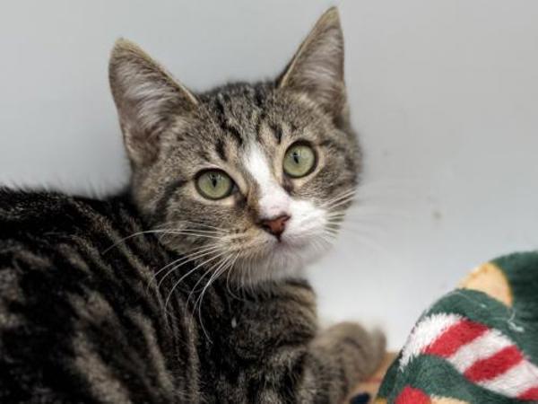 Anna — thumbnail 2