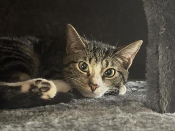 Anna — thumbnail 3