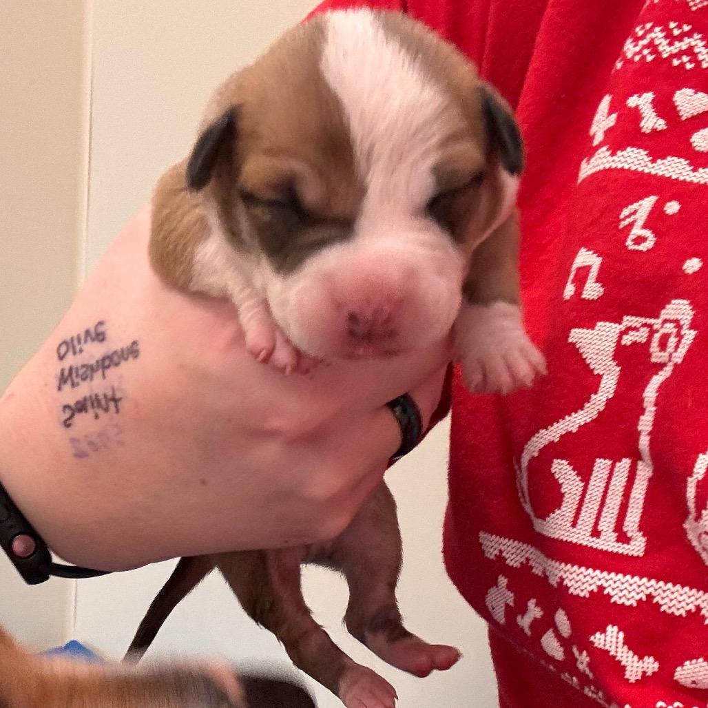 Haley — thumbnail 3