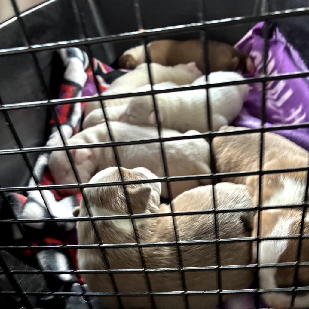 Haley — thumbnail 4