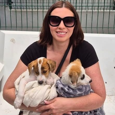 Enlarge Dublin, an adopted Mixed Breed in Thornhill, ON image 4/6