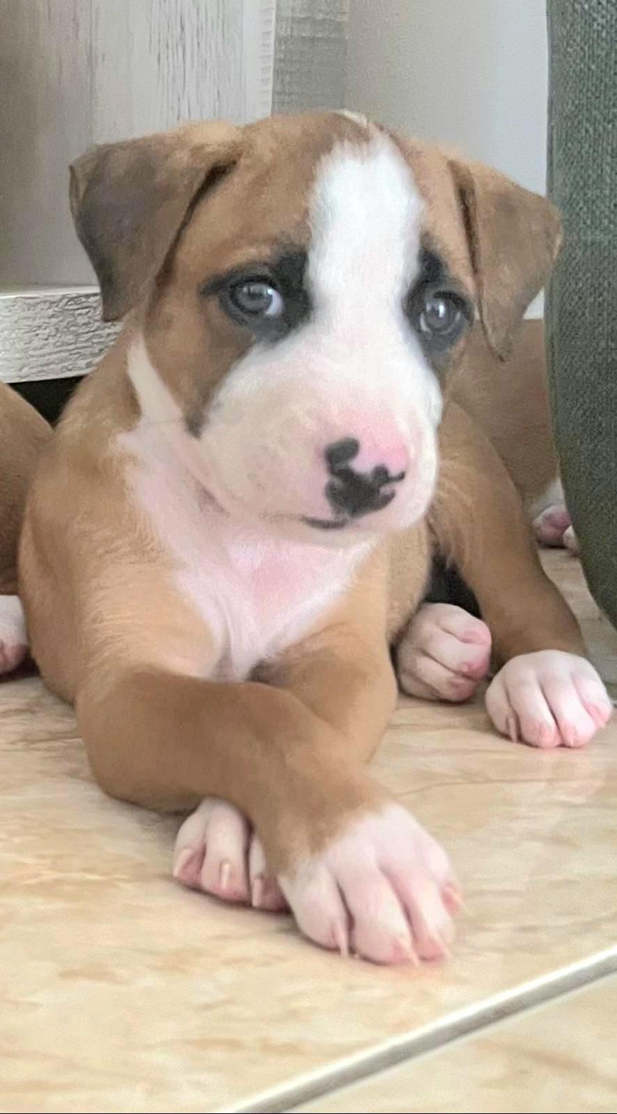 Mazda "let Me Zzzooommm thumbnail 2