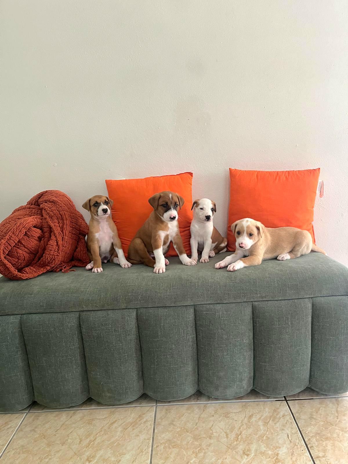 Mazda "let Me Zzzooommm thumbnail 3