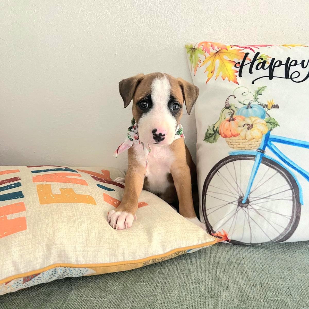 Mazda "let Me Zzzooommm thumbnail 4