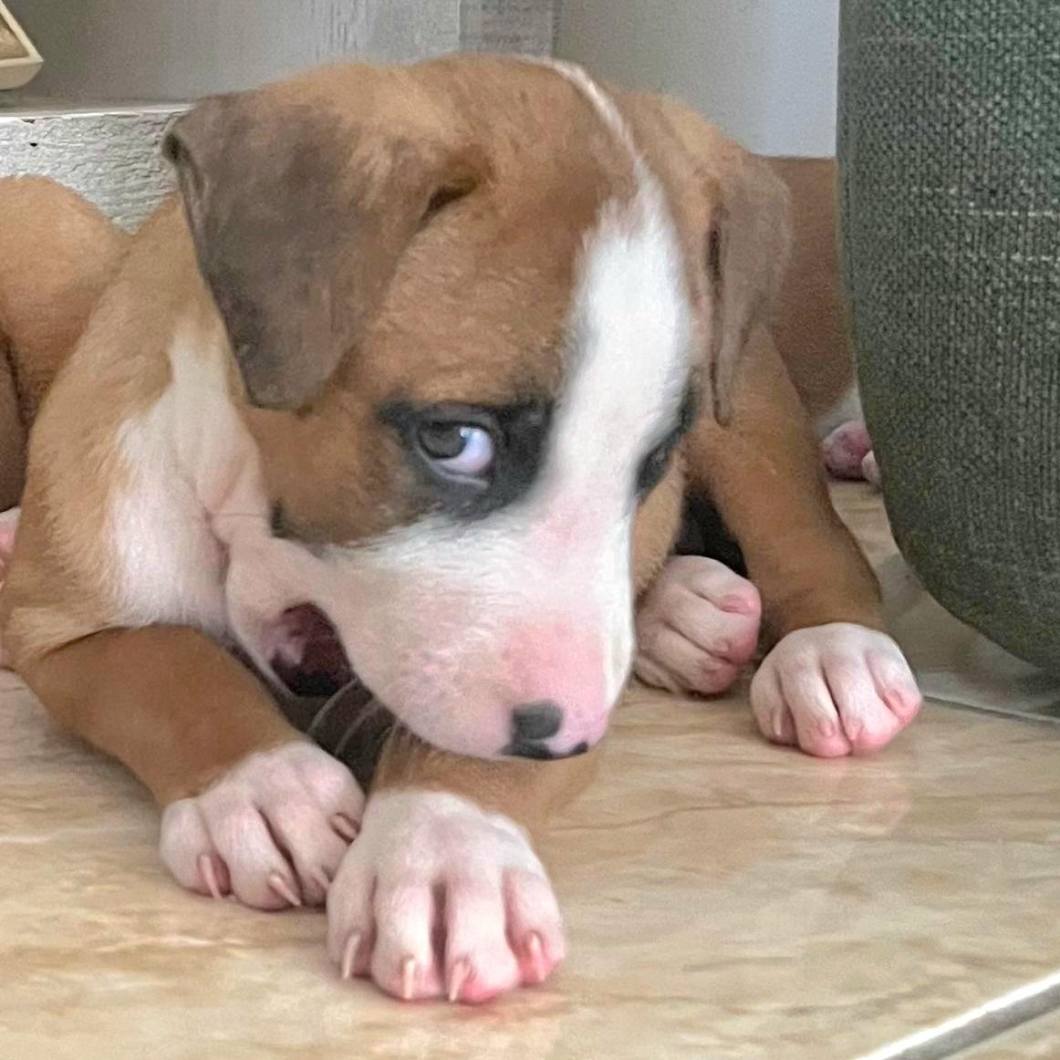 Mazda "let Me Zzzooommm thumbnail 5