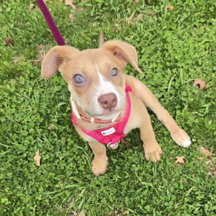 Lane — thumbnail 2