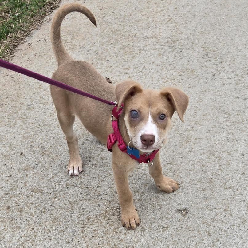 Lane — thumbnail 3