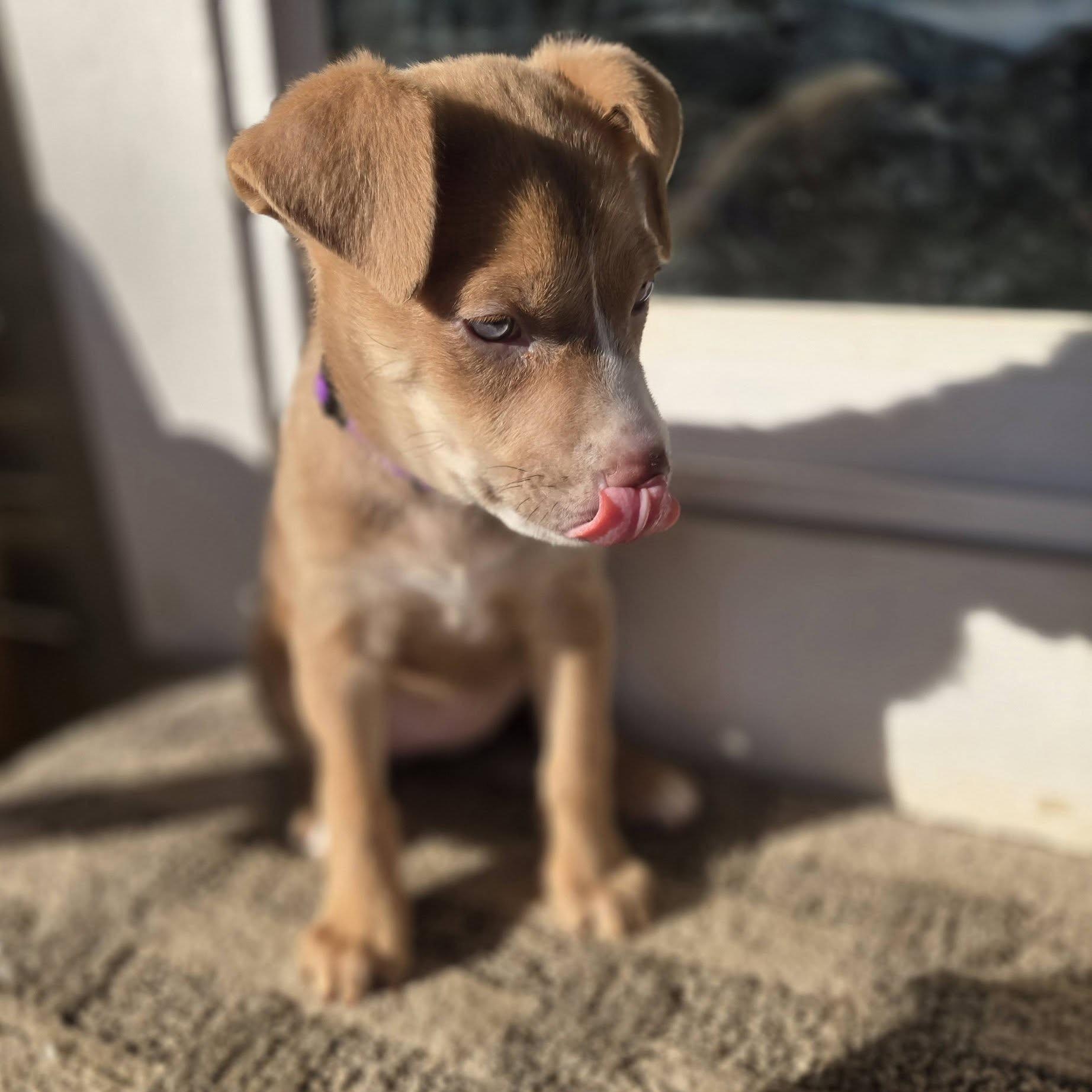 Lane — thumbnail 4