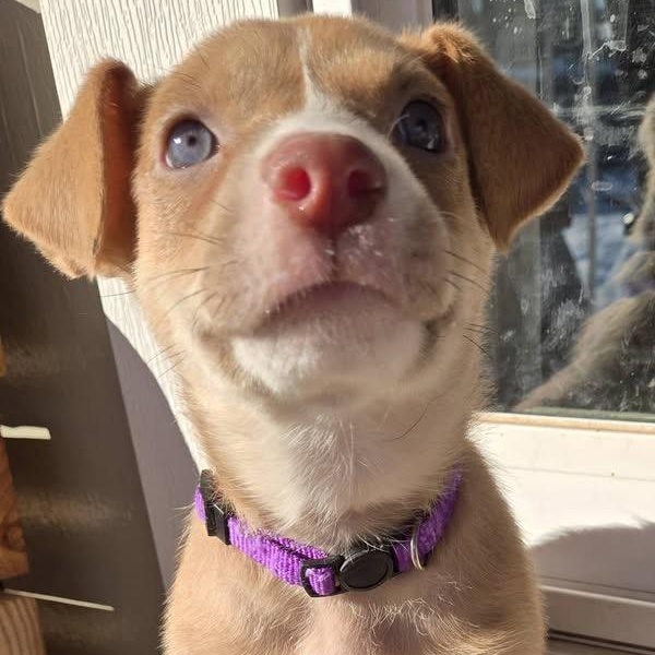 Lane — thumbnail 5