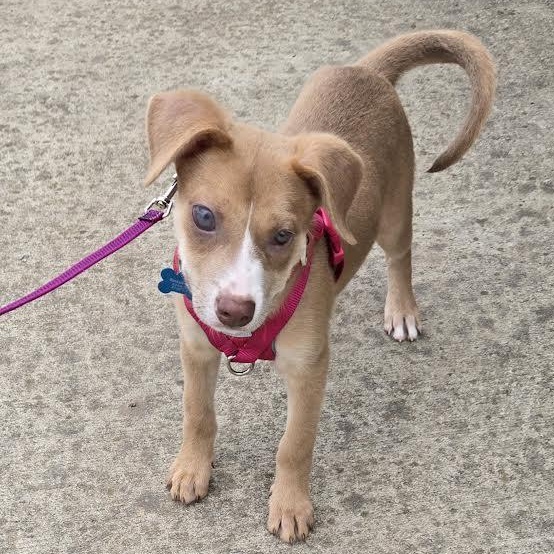 Lane — thumbnail 6