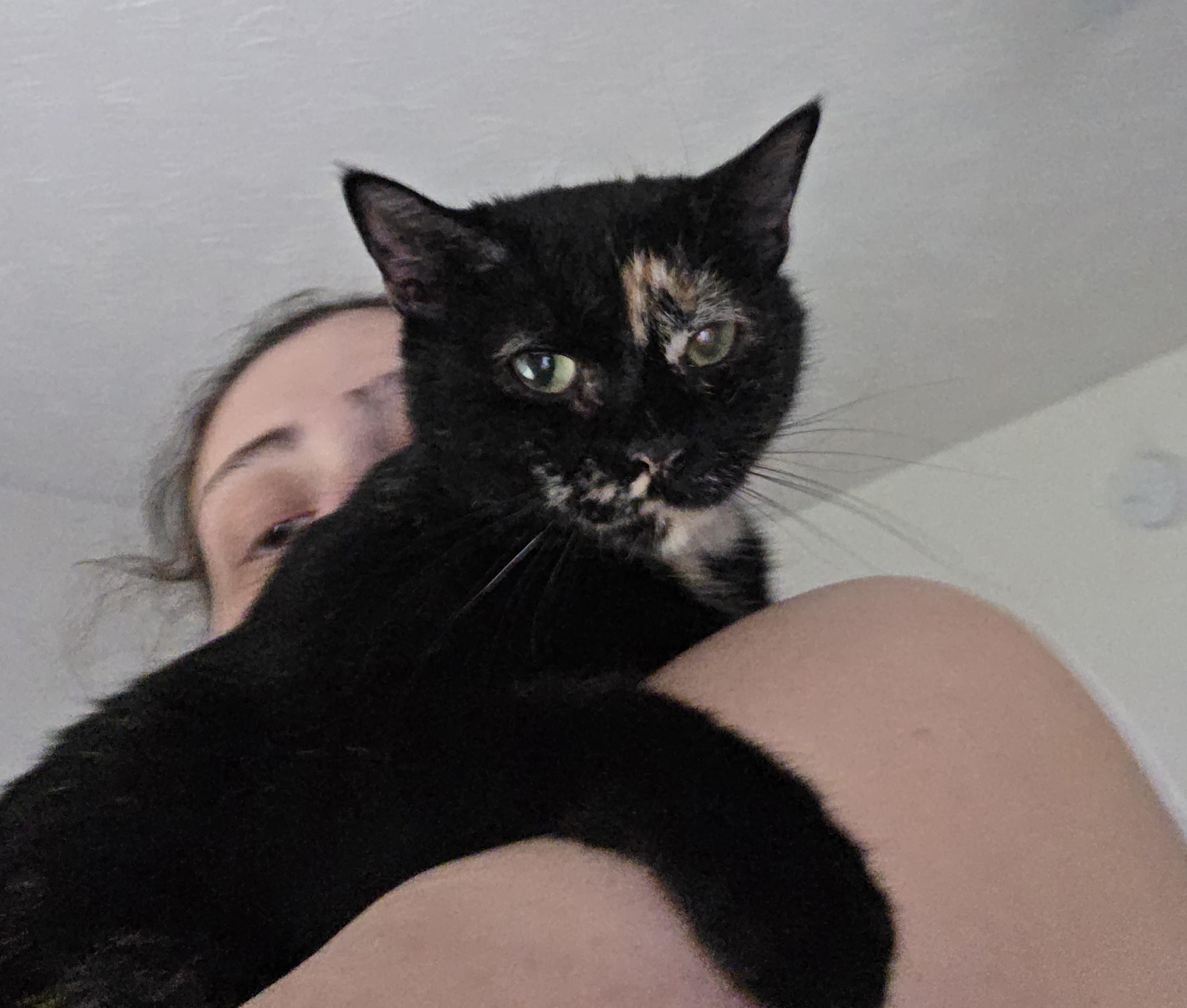 Mischief thumbnail 4