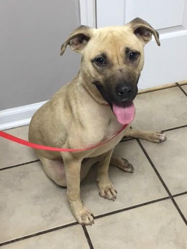 Lucky Charm, Adult Female unknown
