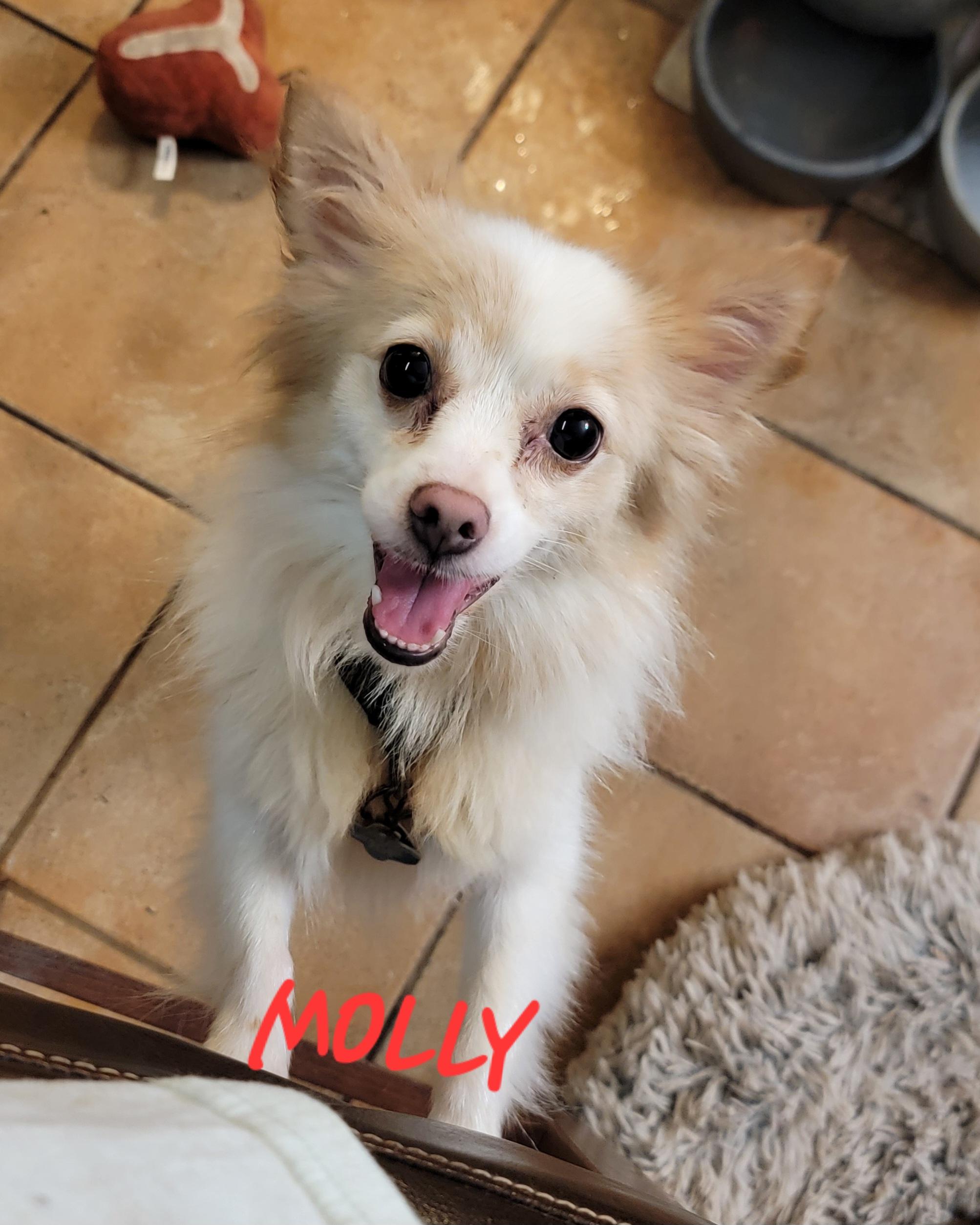 Molly thumbnail 2