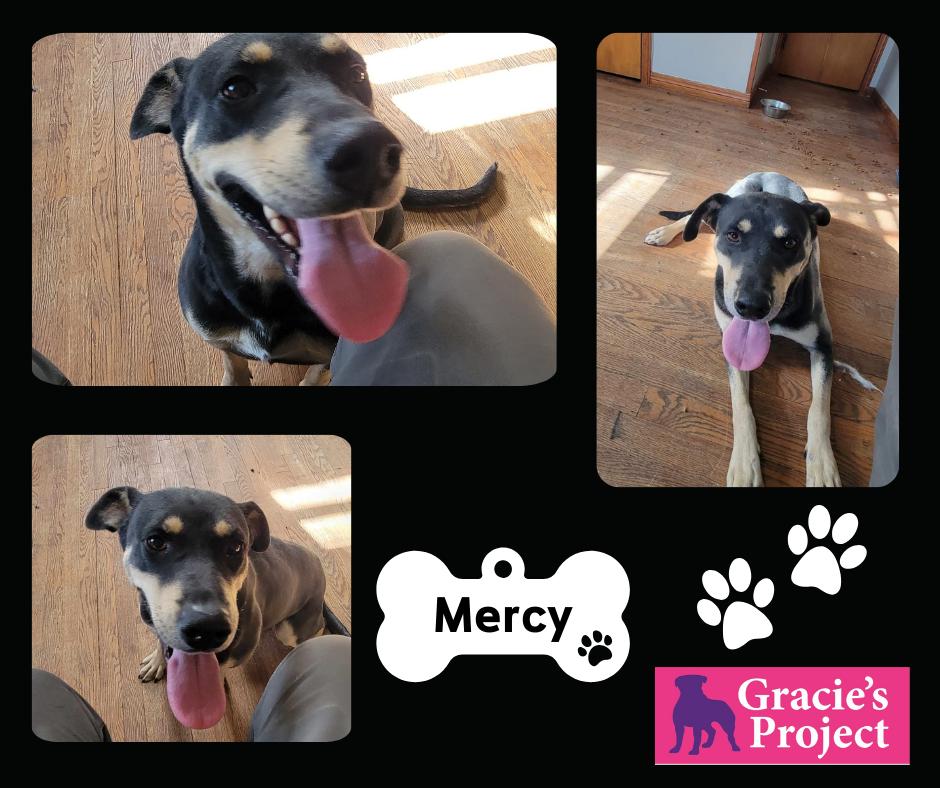 Mercy — thumbnail 2