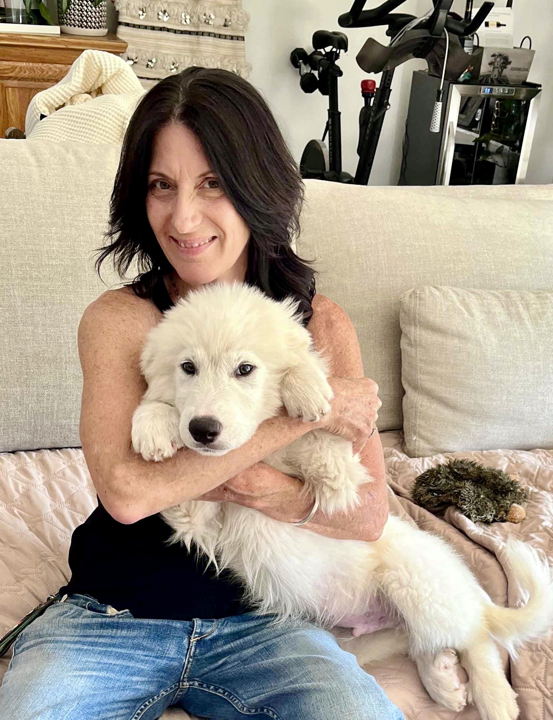 Bowie, a Adopted Great Pyrenees in North Hollywood, CA image 3/5