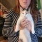 Enlarge Winter (bonded with Autumn), a Adopted Domestic Short Hair in Pickering, ON image 4/4