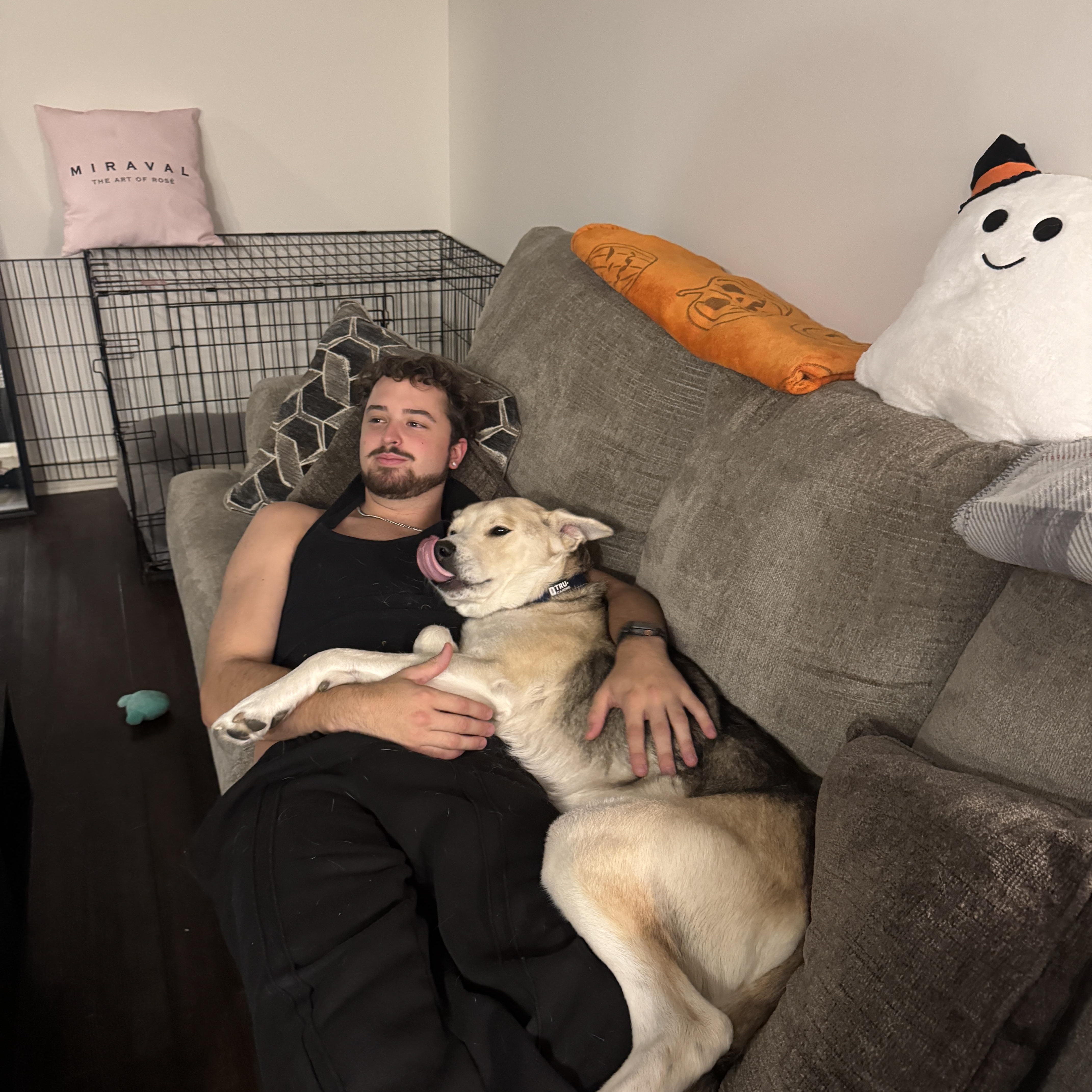 Enlarge Rosko, an adopted mixed breed in Washington, DC image 2/6