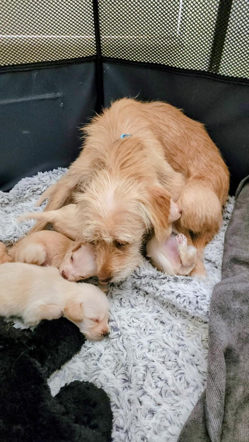 Sara Bellum thumbnail 3