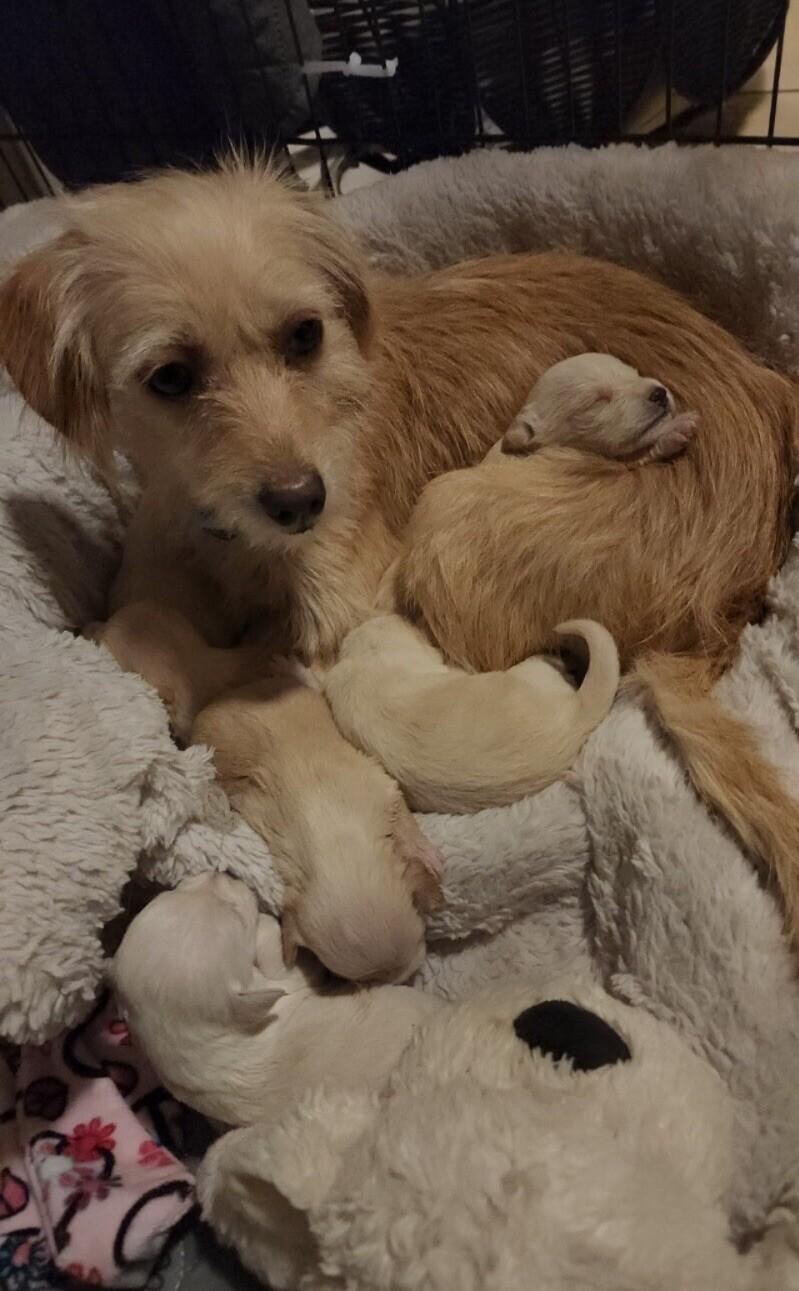 Sara Bellum thumbnail 6