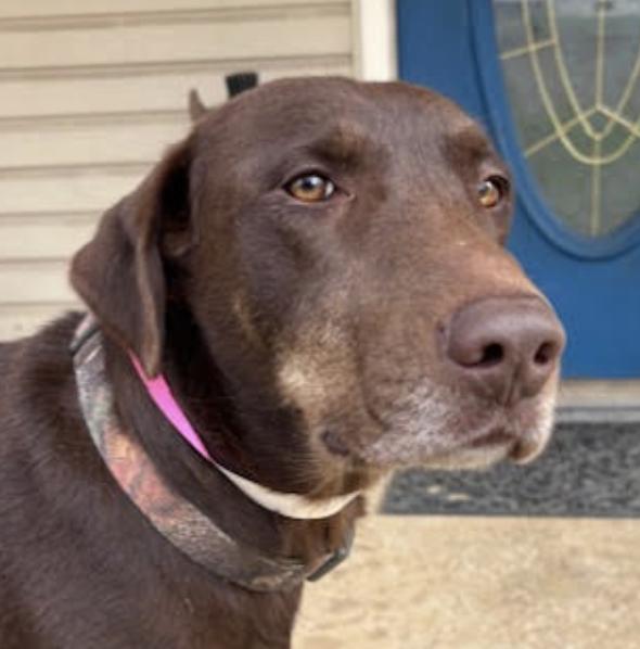 Honey Zodiac Momma ~ thumbnail 3