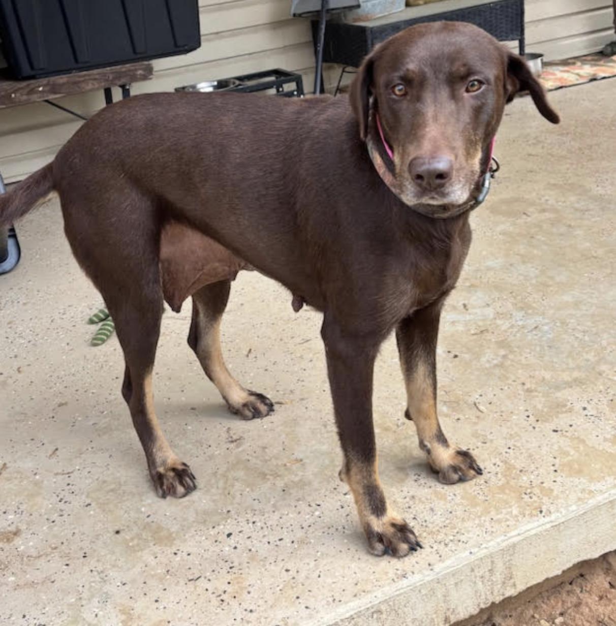 Honey Zodiac Momma ~ thumbnail 4