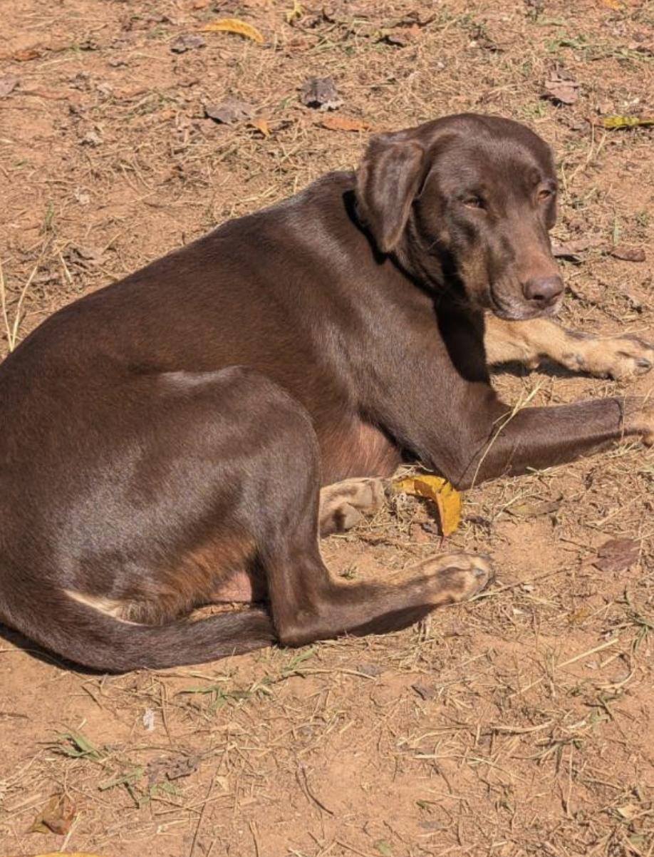 Honey Zodiac Momma ~ thumbnail 6