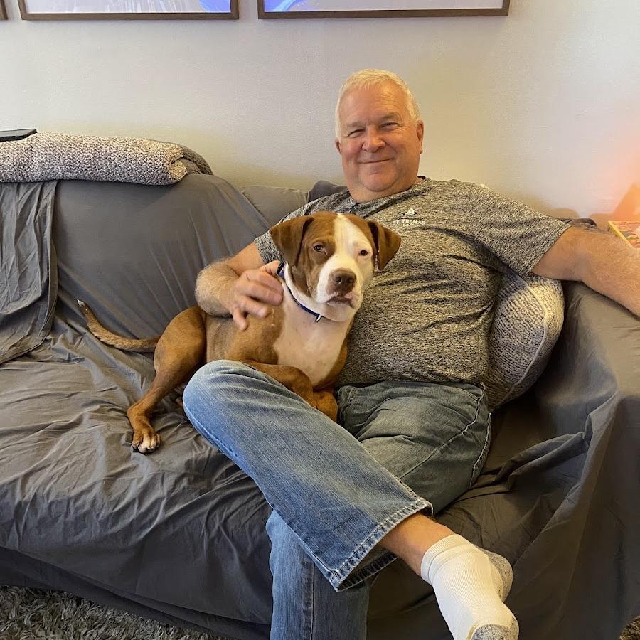 Derby, Adoptable, Adult Male Mixed Breed.