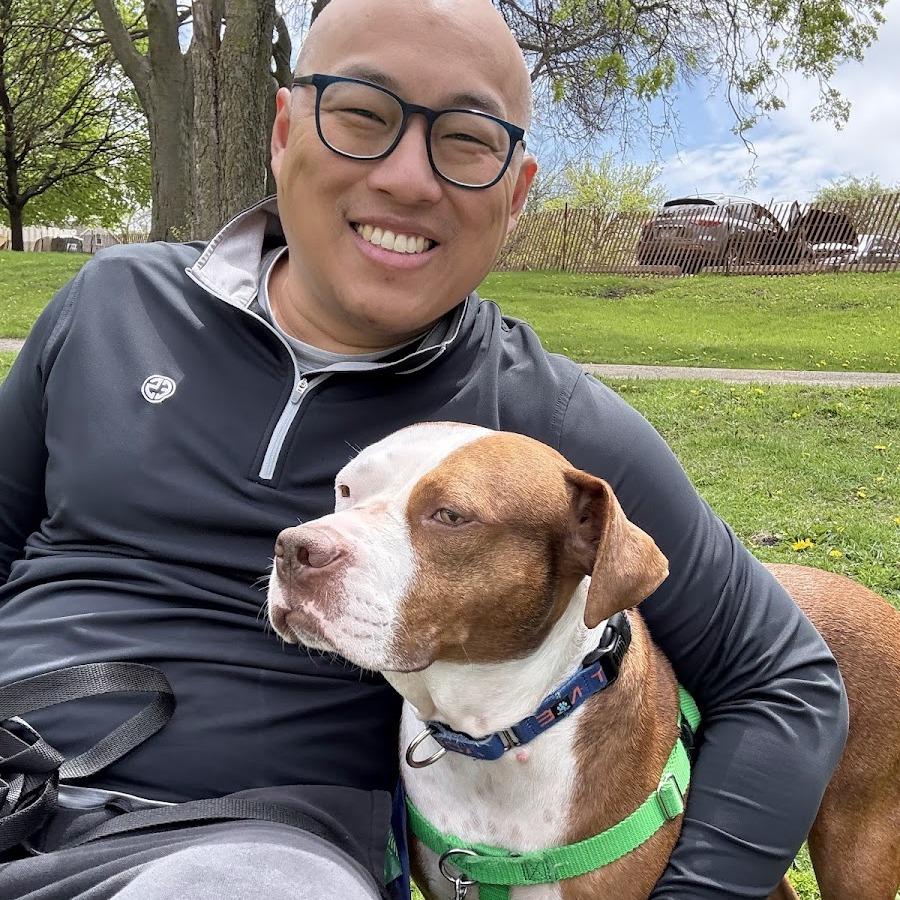 Enlarge Derby, a Adoptable Mixed Breed in Chicago, IL image 2/6