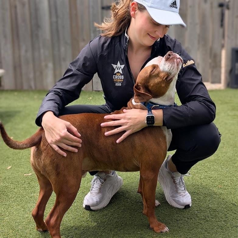 Enlarge Derby, a Adoptable Mixed Breed in Chicago, IL image 3/6