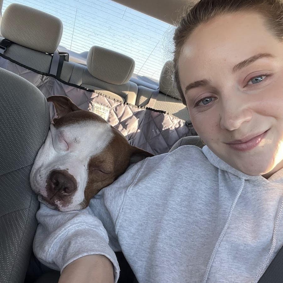 Enlarge Derby, a Adoptable Mixed Breed in Chicago, IL image 5/6