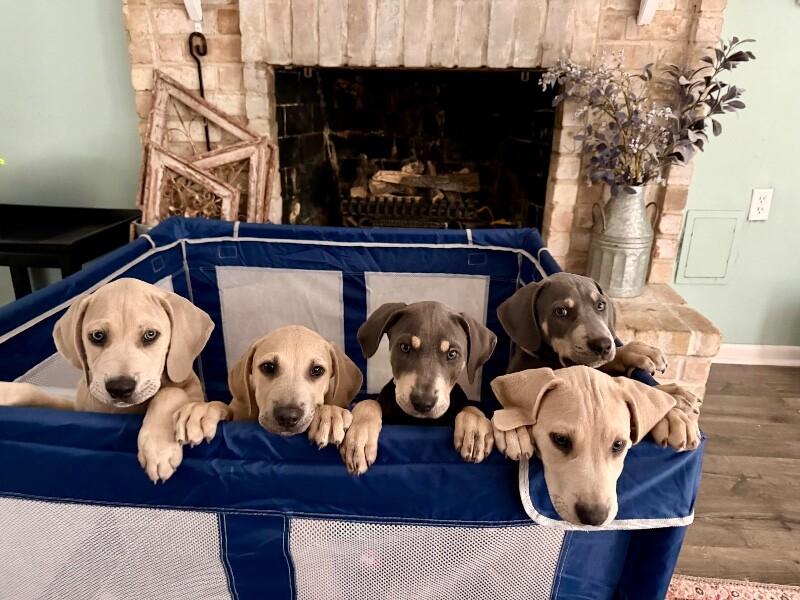 Cosmo Space — thumbnail 2