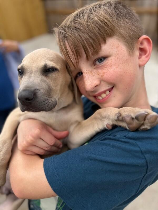 Cosmo Space — thumbnail 5