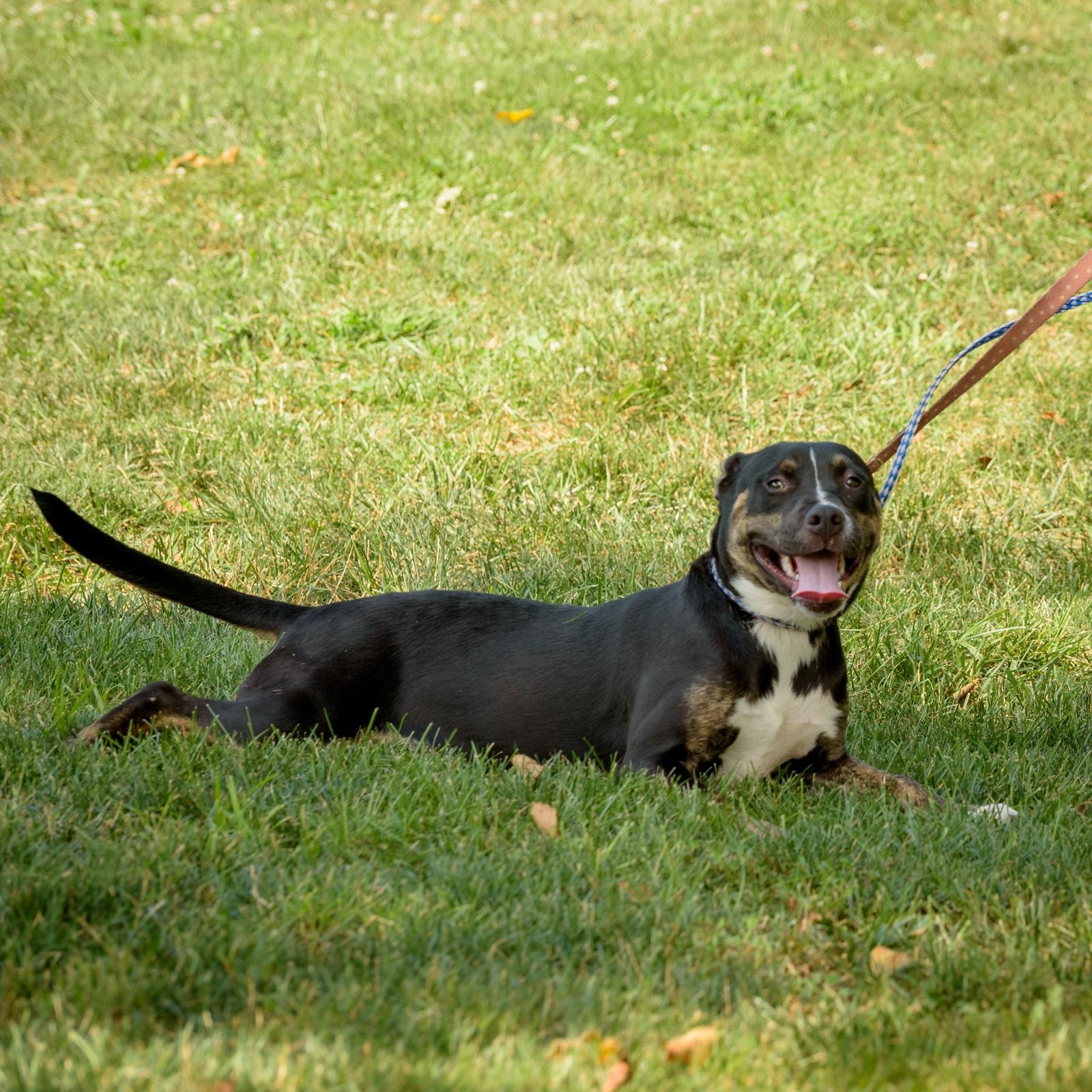 Shiloh photo 2