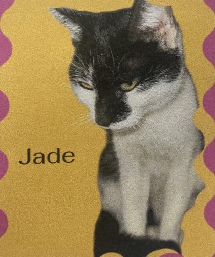 Jade