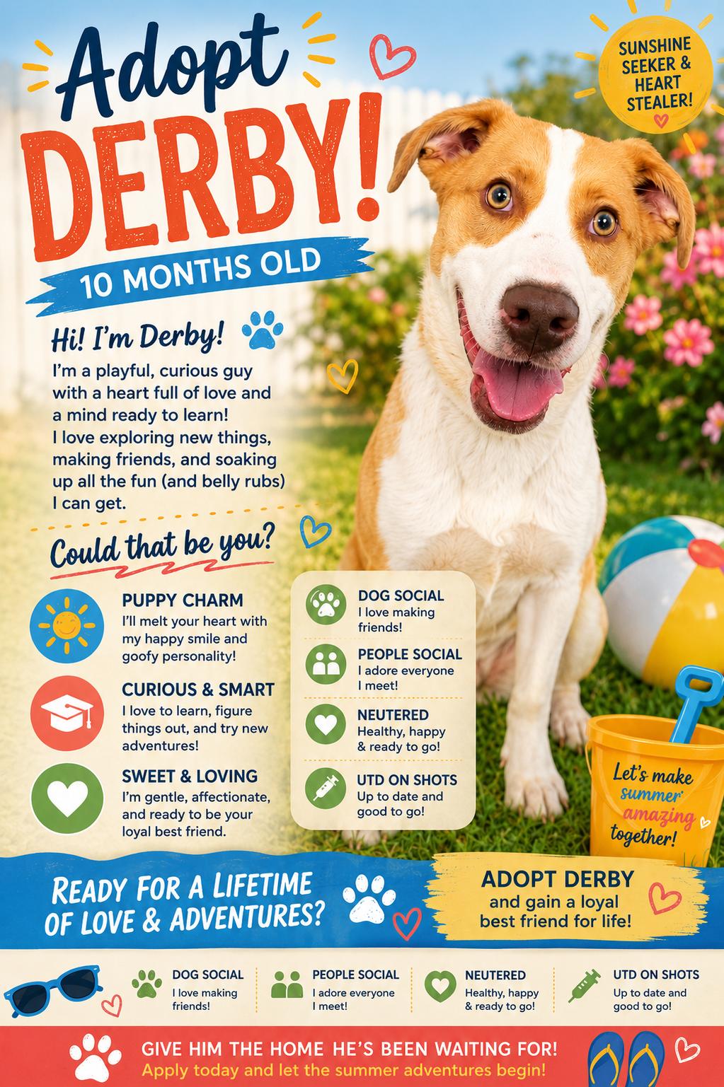Derby, a Adoptable mixed breed in Ashland, KY image 2/3