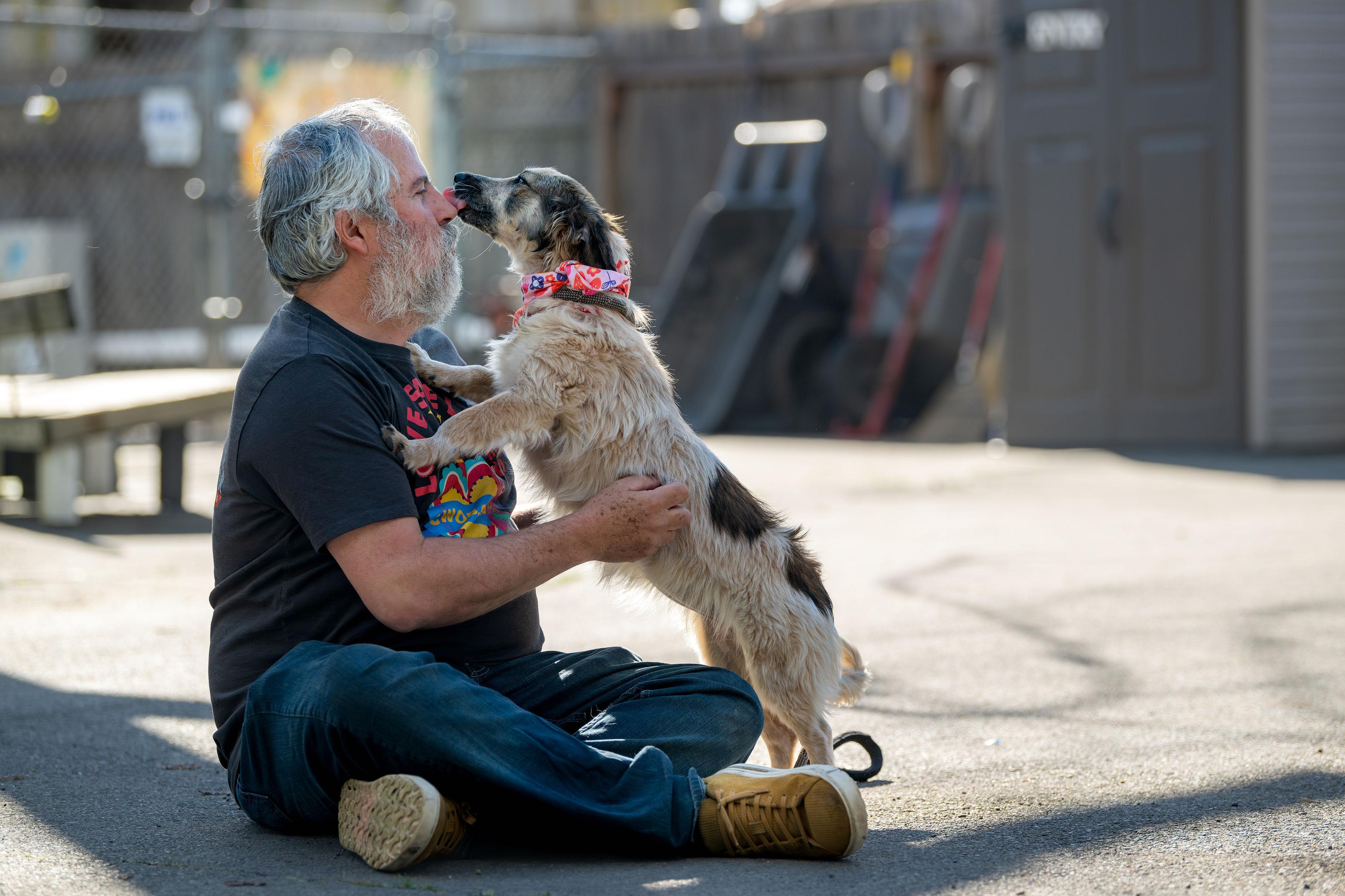 Enlarge Sushi, an adopted mixed breed in Santa Rosa, CA image 2/4