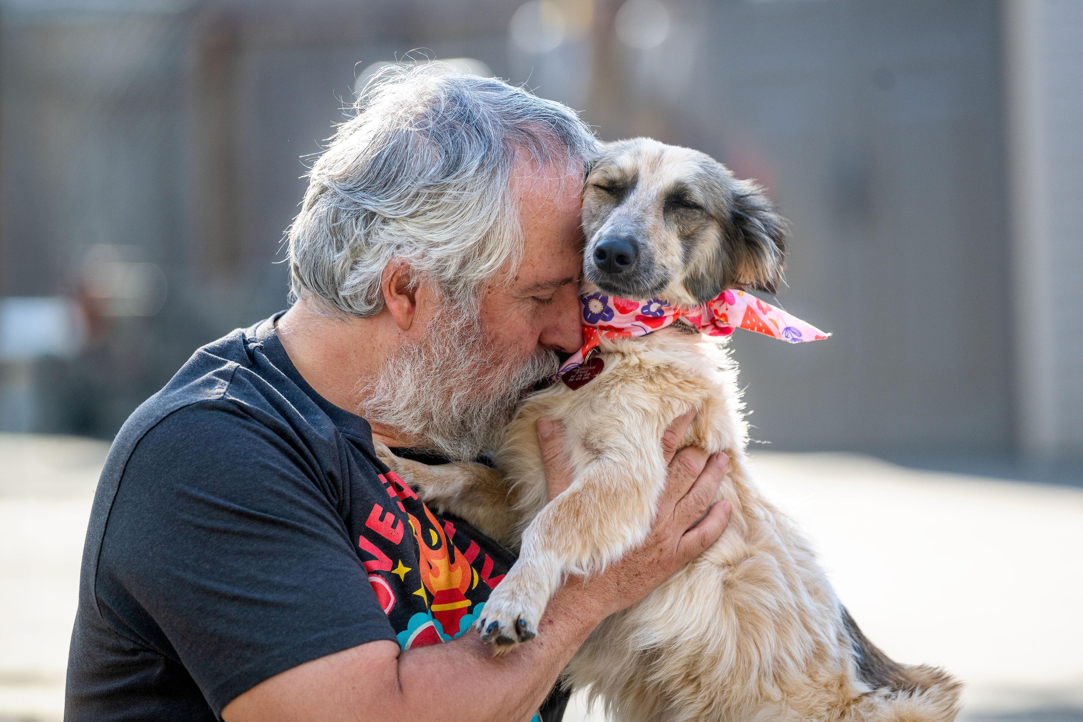 Enlarge Sushi, an adopted mixed breed in Santa Rosa, CA image 3/4