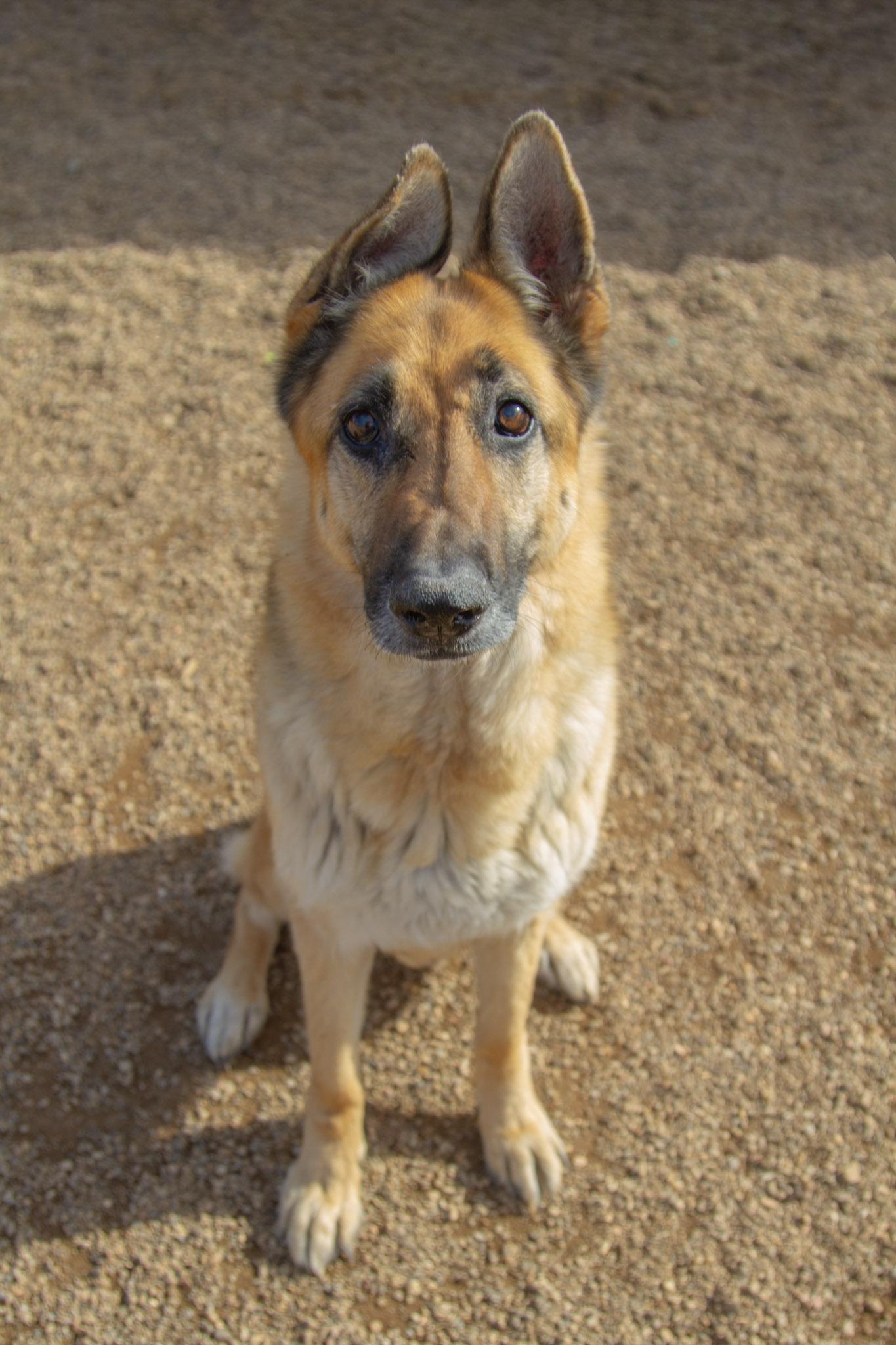 Ziva — thumbnail 6