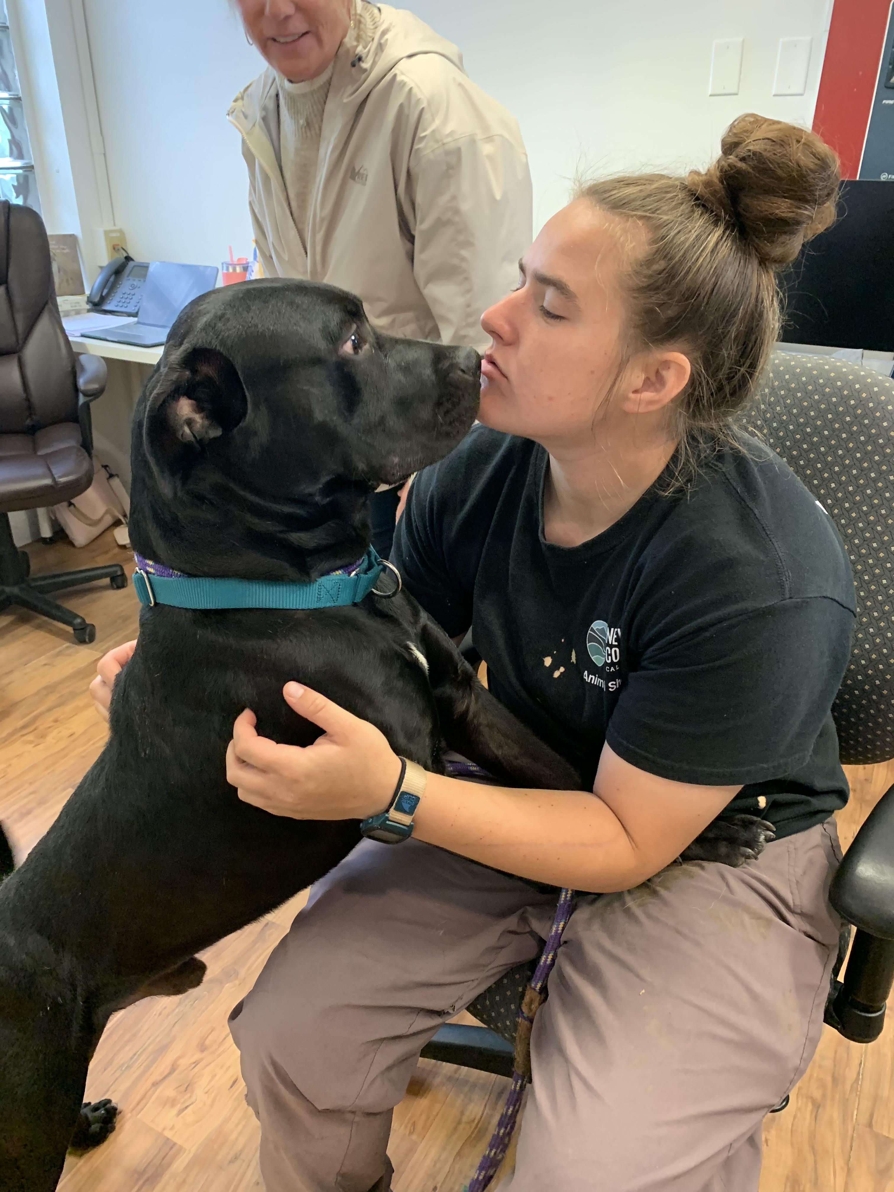 Enlarge Odie, a ADOPTABLE mixed breed in Grass Valley, CA image 4/5