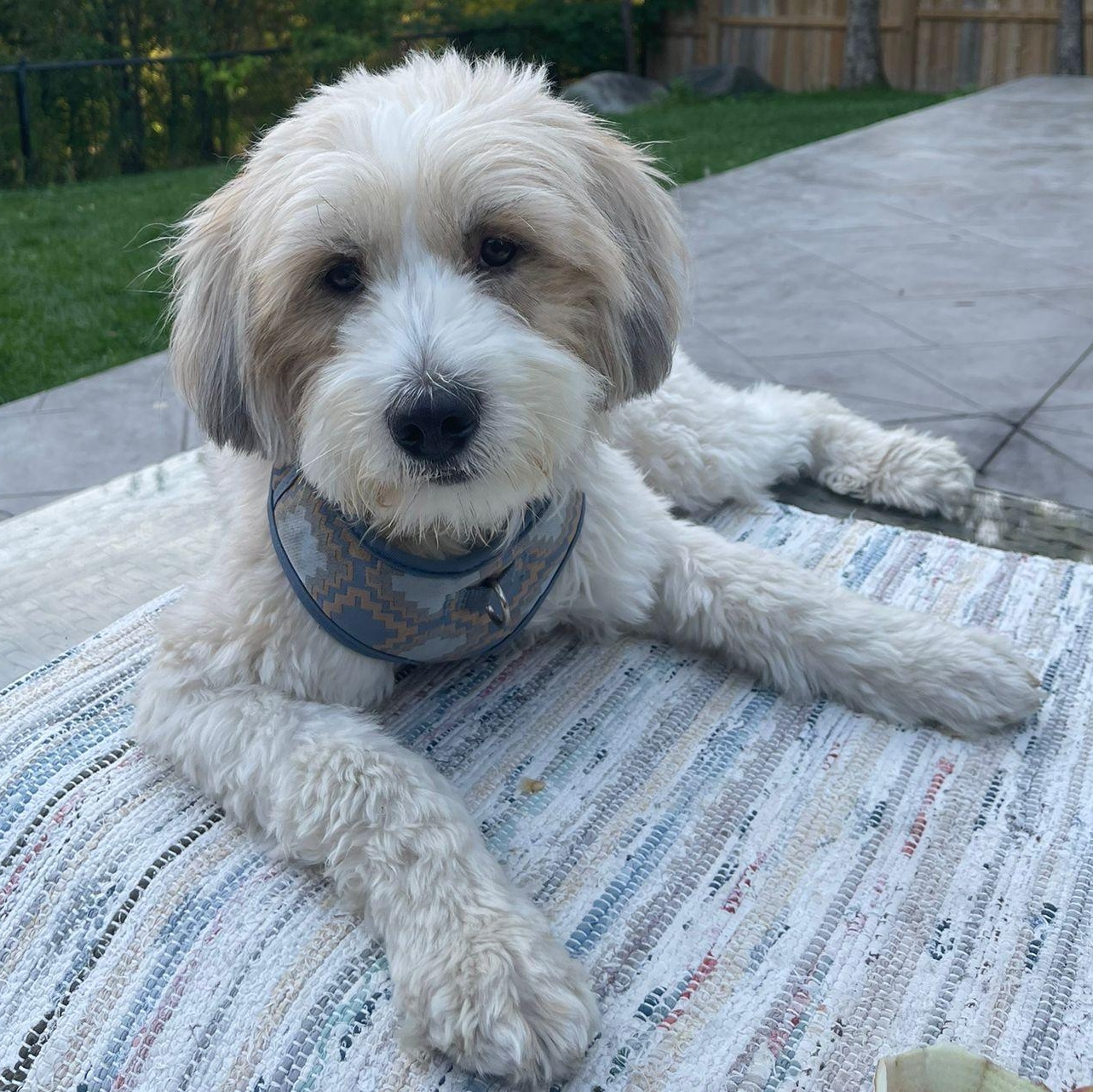 Mr. Cutie Cooper