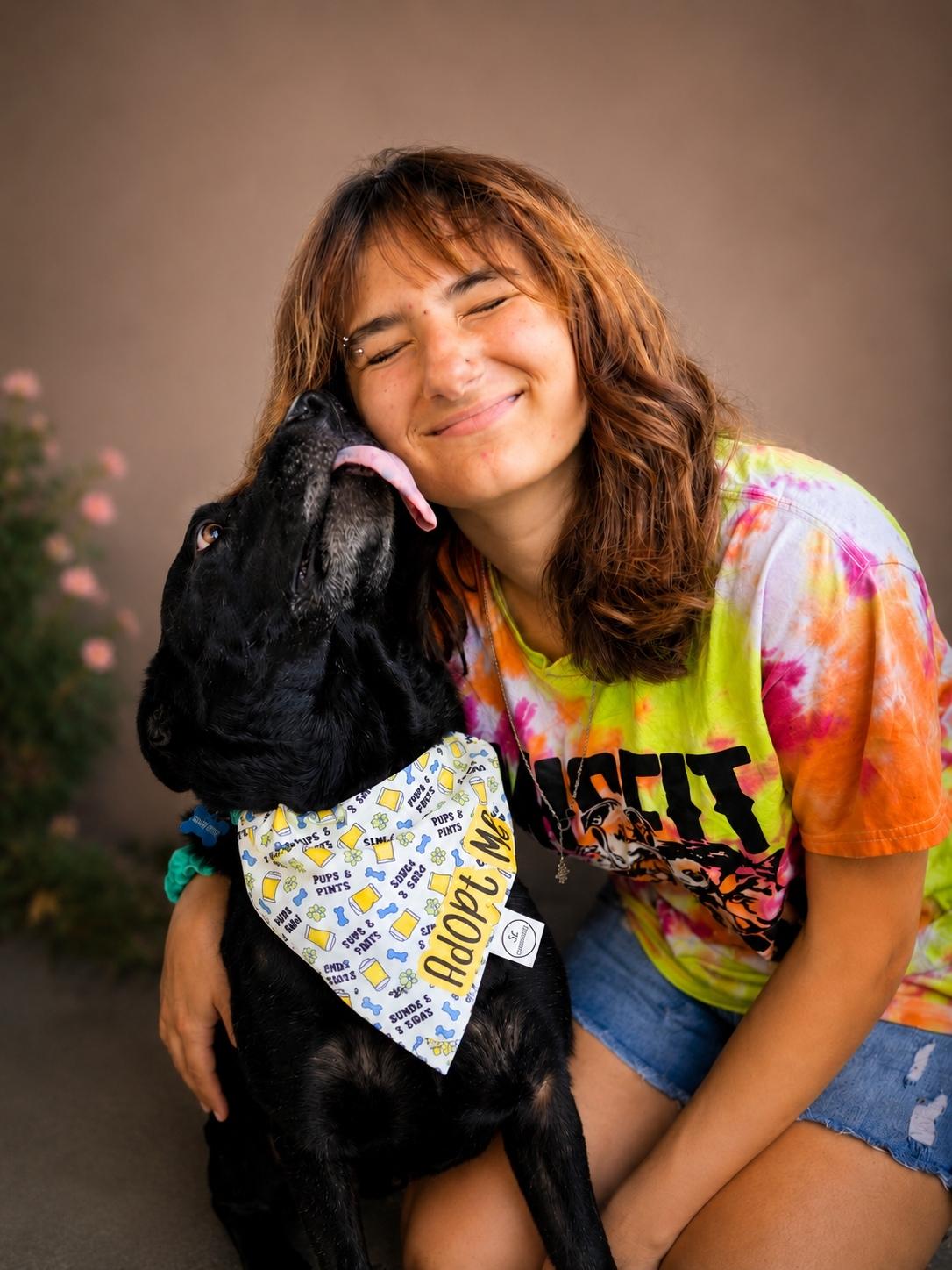 Rex, a ADOPTABLE mixed breed in Murrieta, CA image 4/6