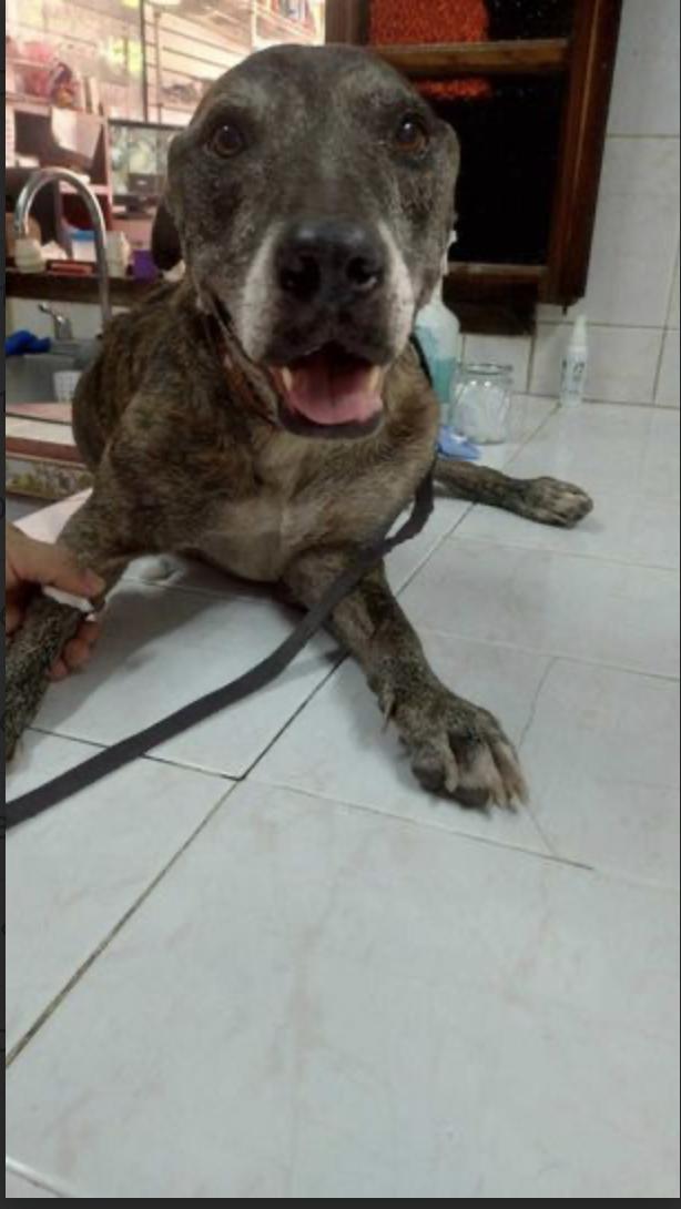 Don Julio DJ — thumbnail 2