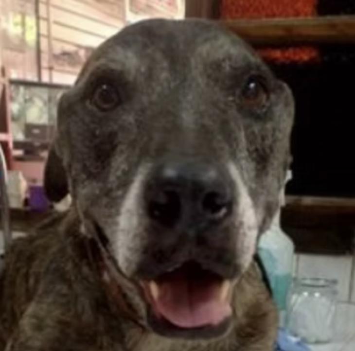 Don Julio DJ — thumbnail 4