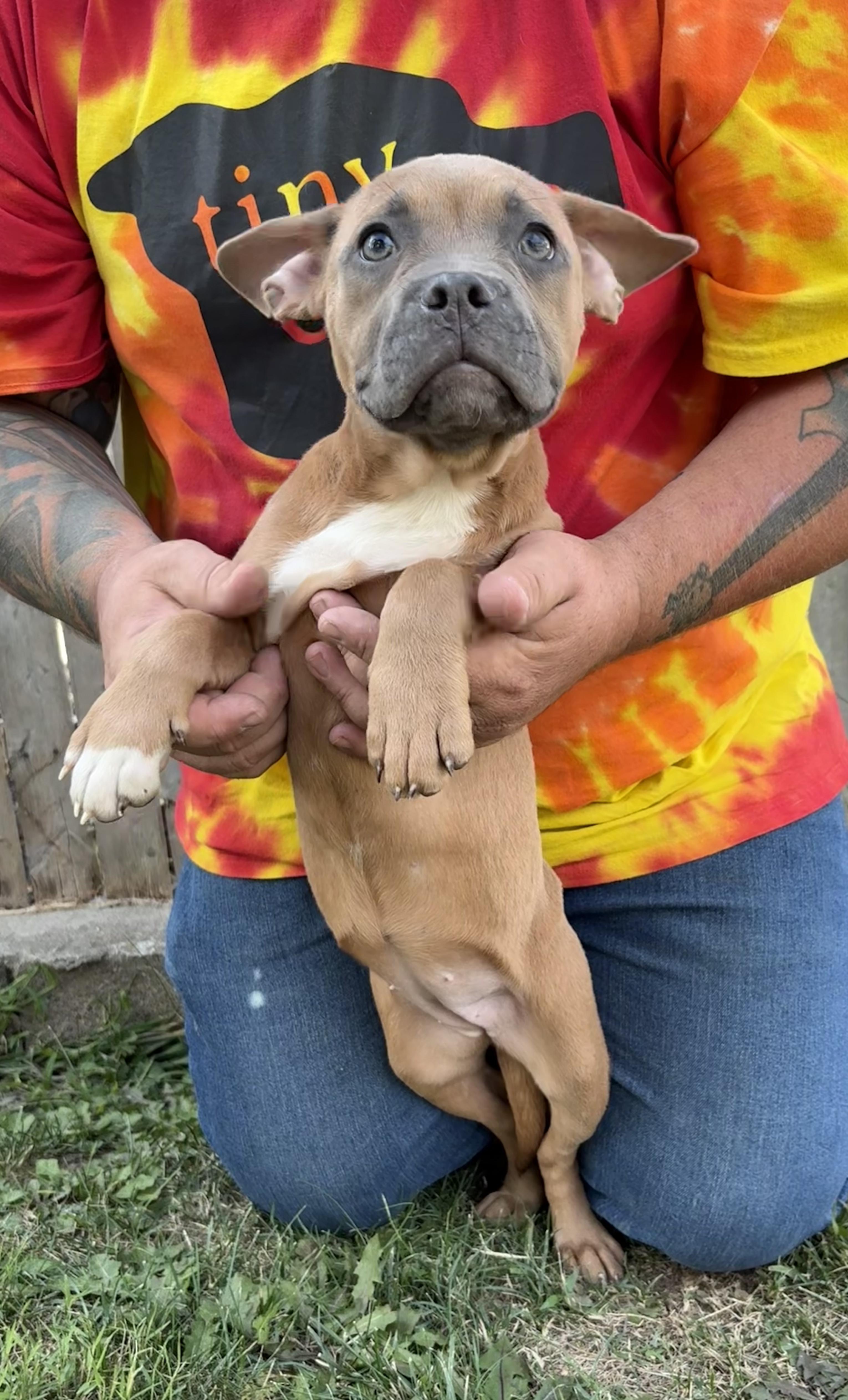 SALTY. tinycauseadopt@gmail.com