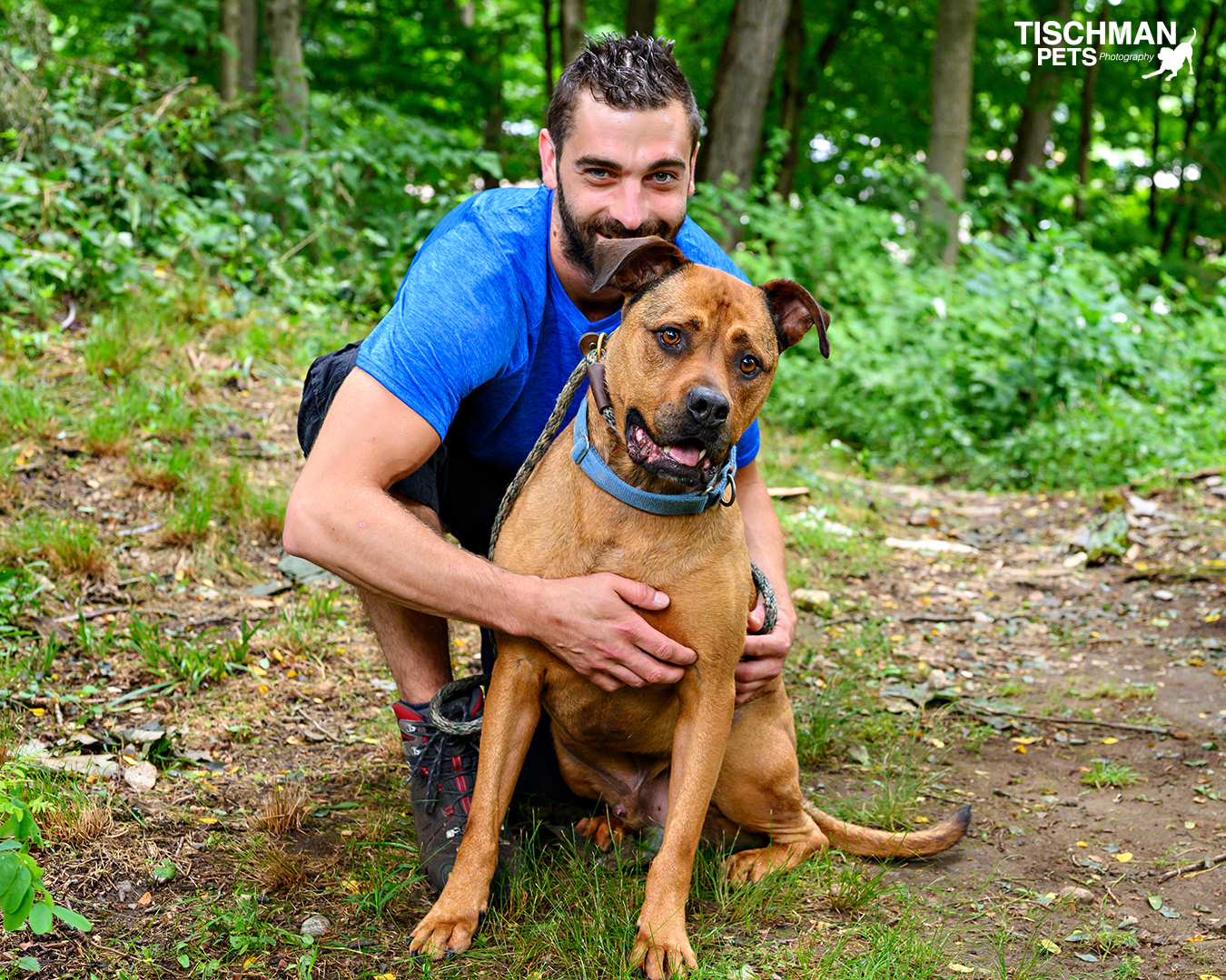 Biggie, a Adoptable mixed breed image 4/11