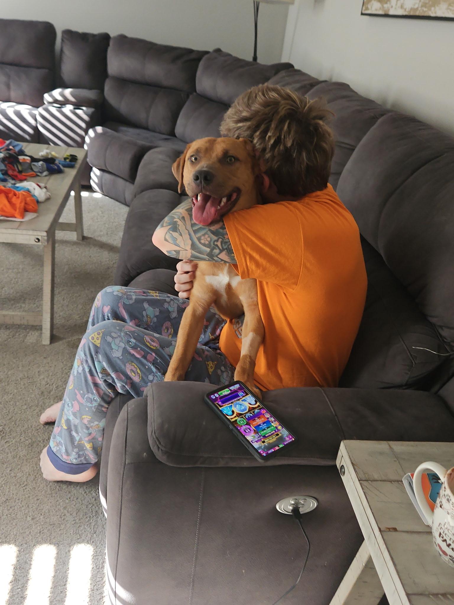 Enlarge Trusty (Waffles), a Adoptable mixed breed in Westminster, MD image 4/6