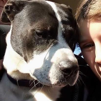 Electra — thumbnail 6