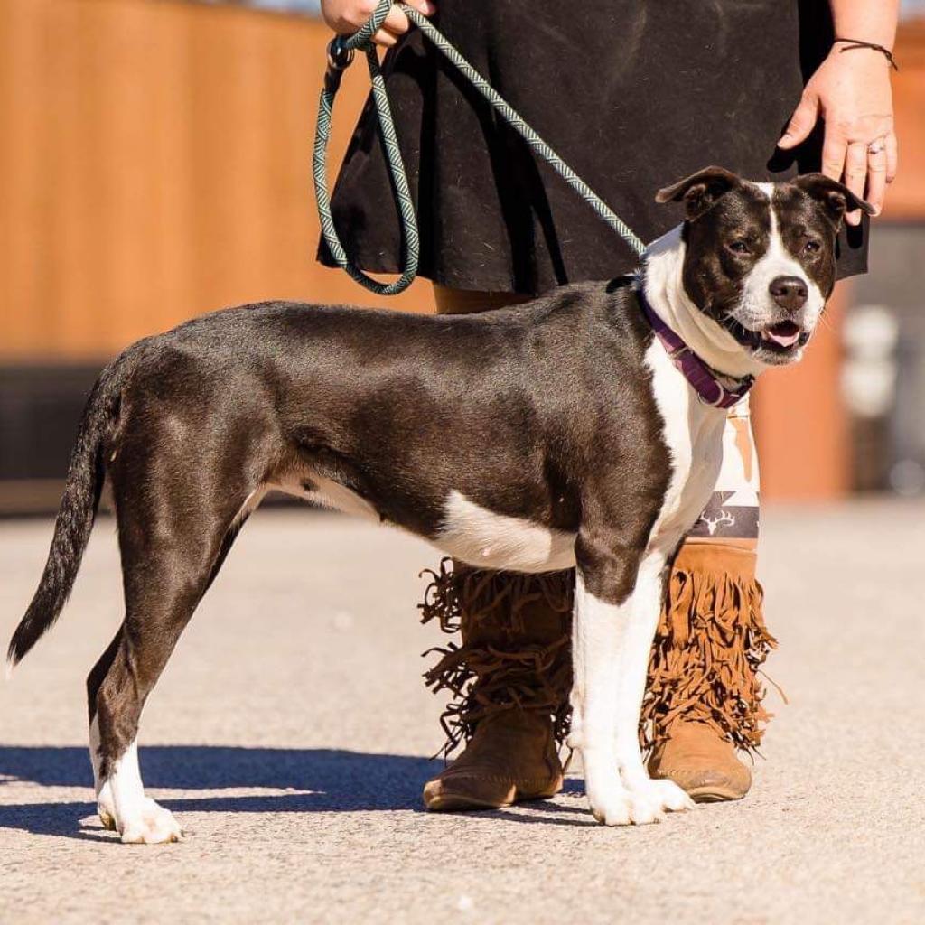 Electra — thumbnail 10