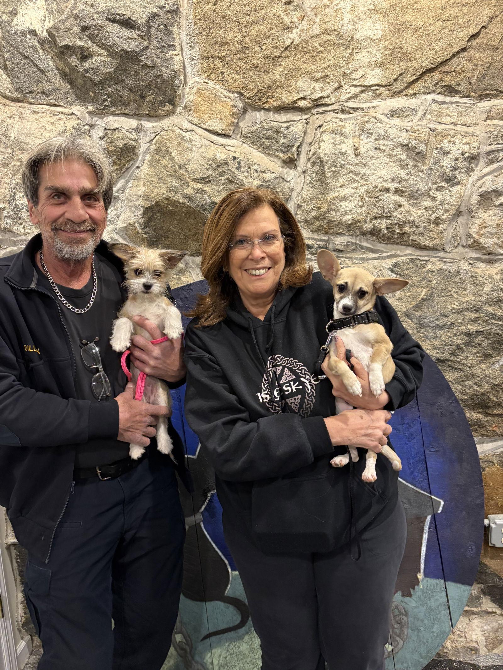 Nathalie's Perry TX, Adopted, Puppy Female Chihuahua.