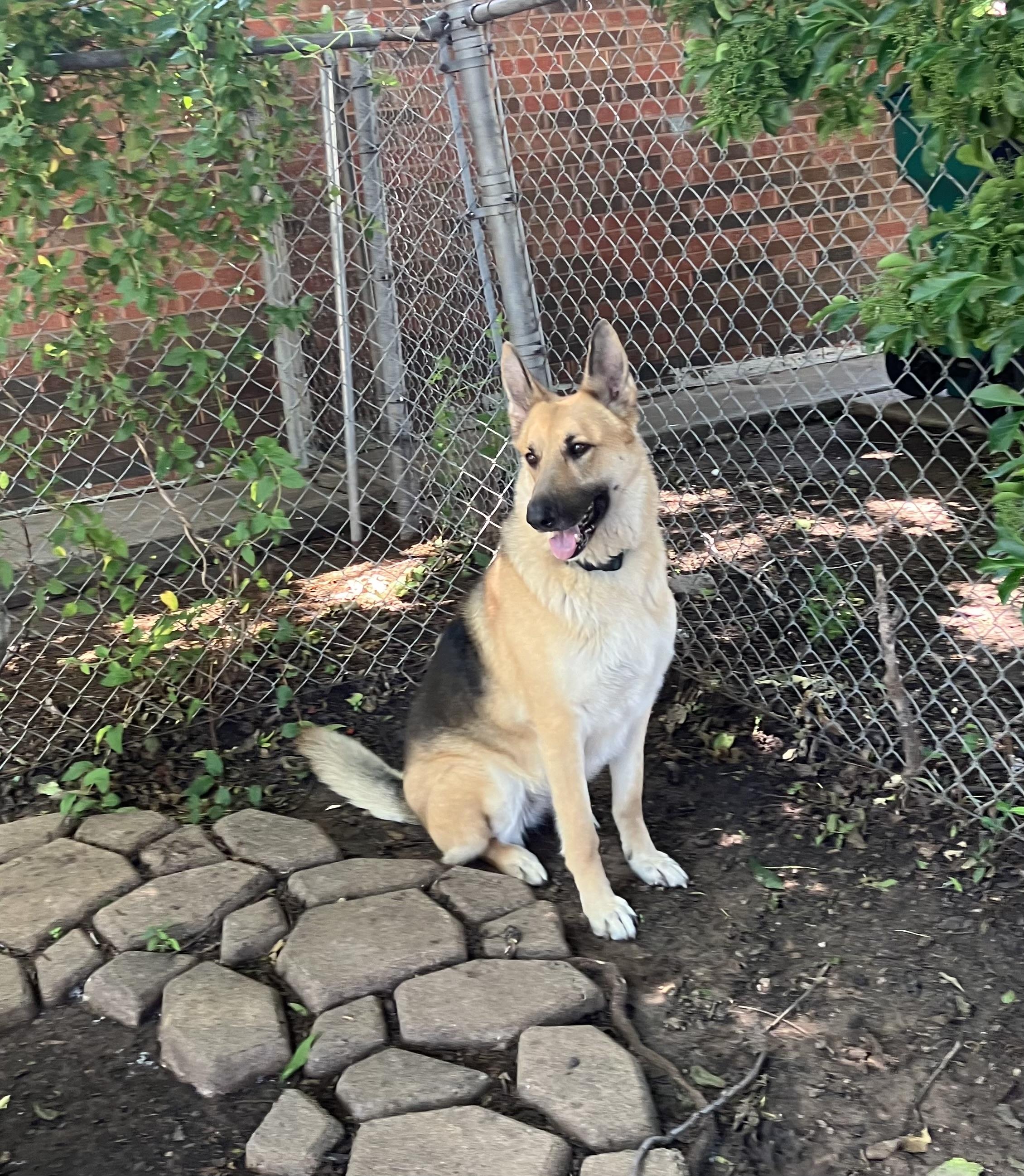 Molly photo 3
